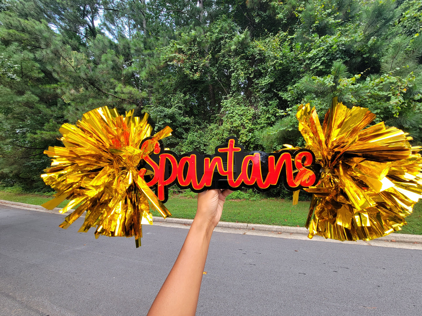Personalized Cheer Stick (3 colors)